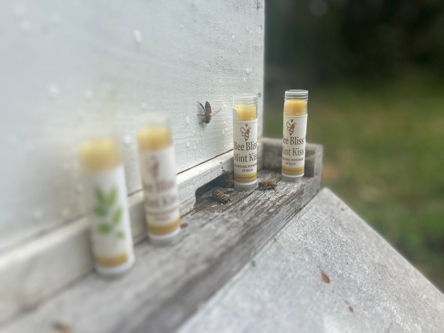 Mint Kiss Lip Elixir - Bee Bliss Bath and Body