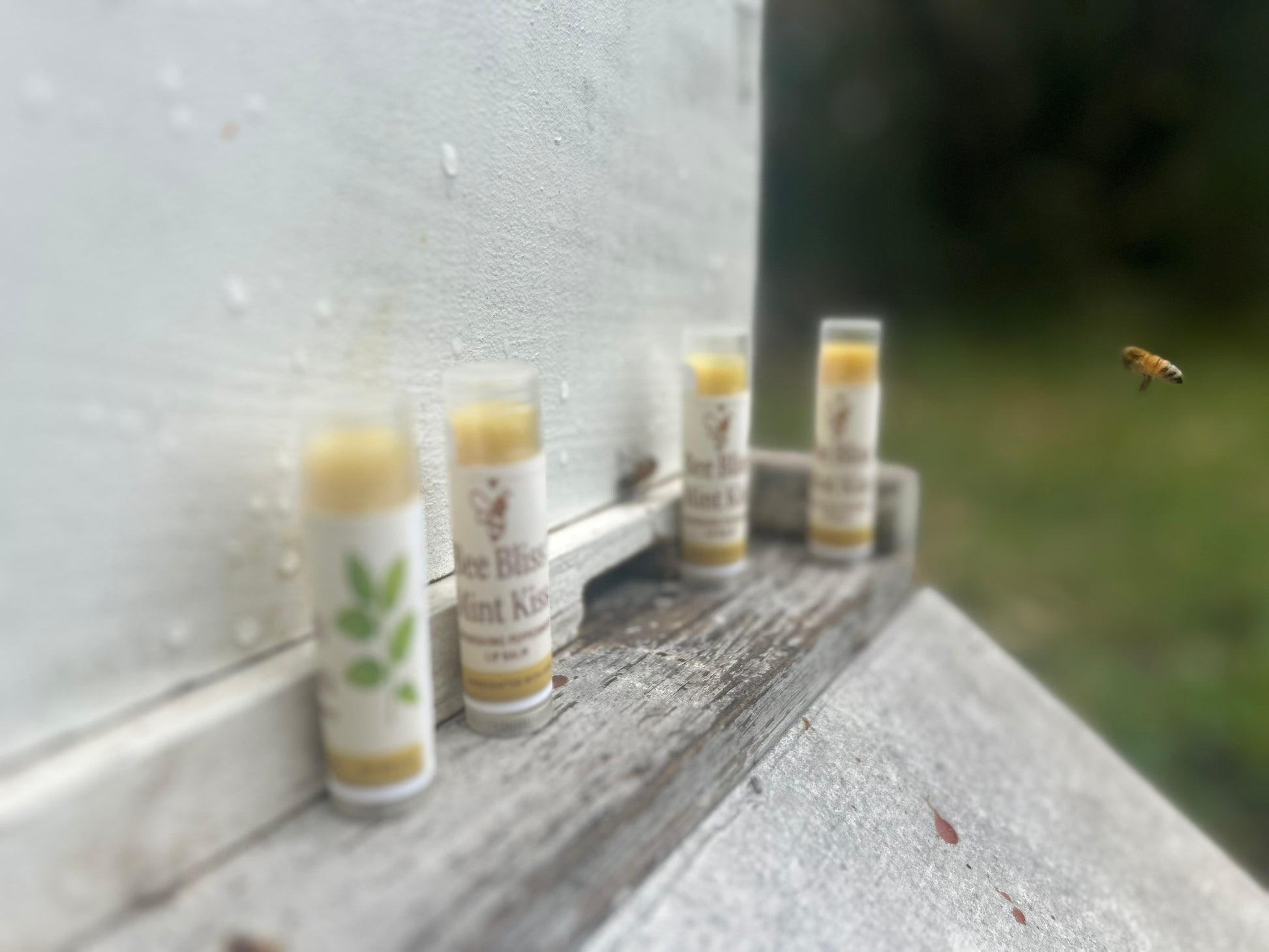 Mint Kiss Lip Elixir - Bee Bliss Bath and Body