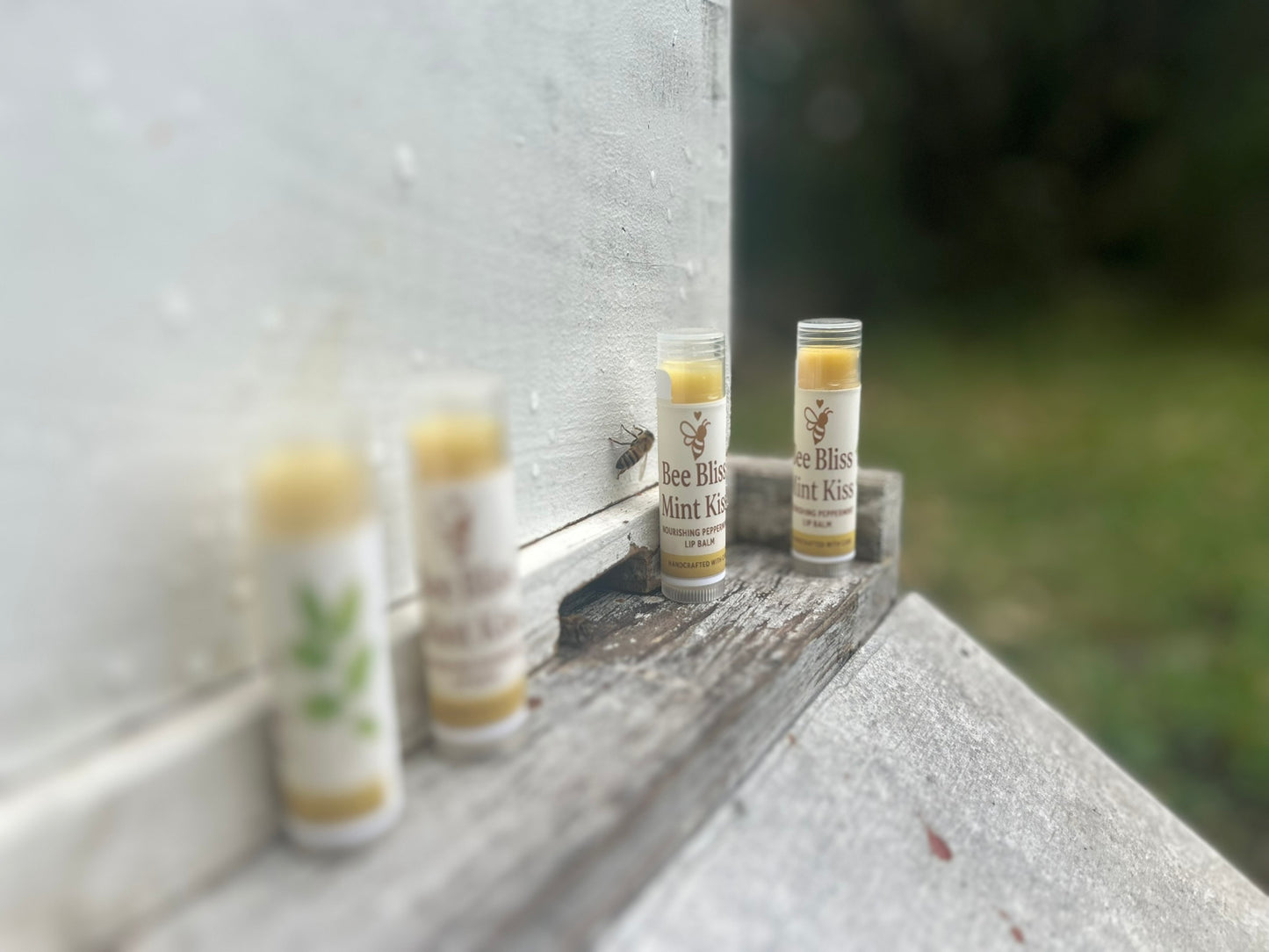 Mint Kiss Lip Elixir - Bee Bliss Bath and Body