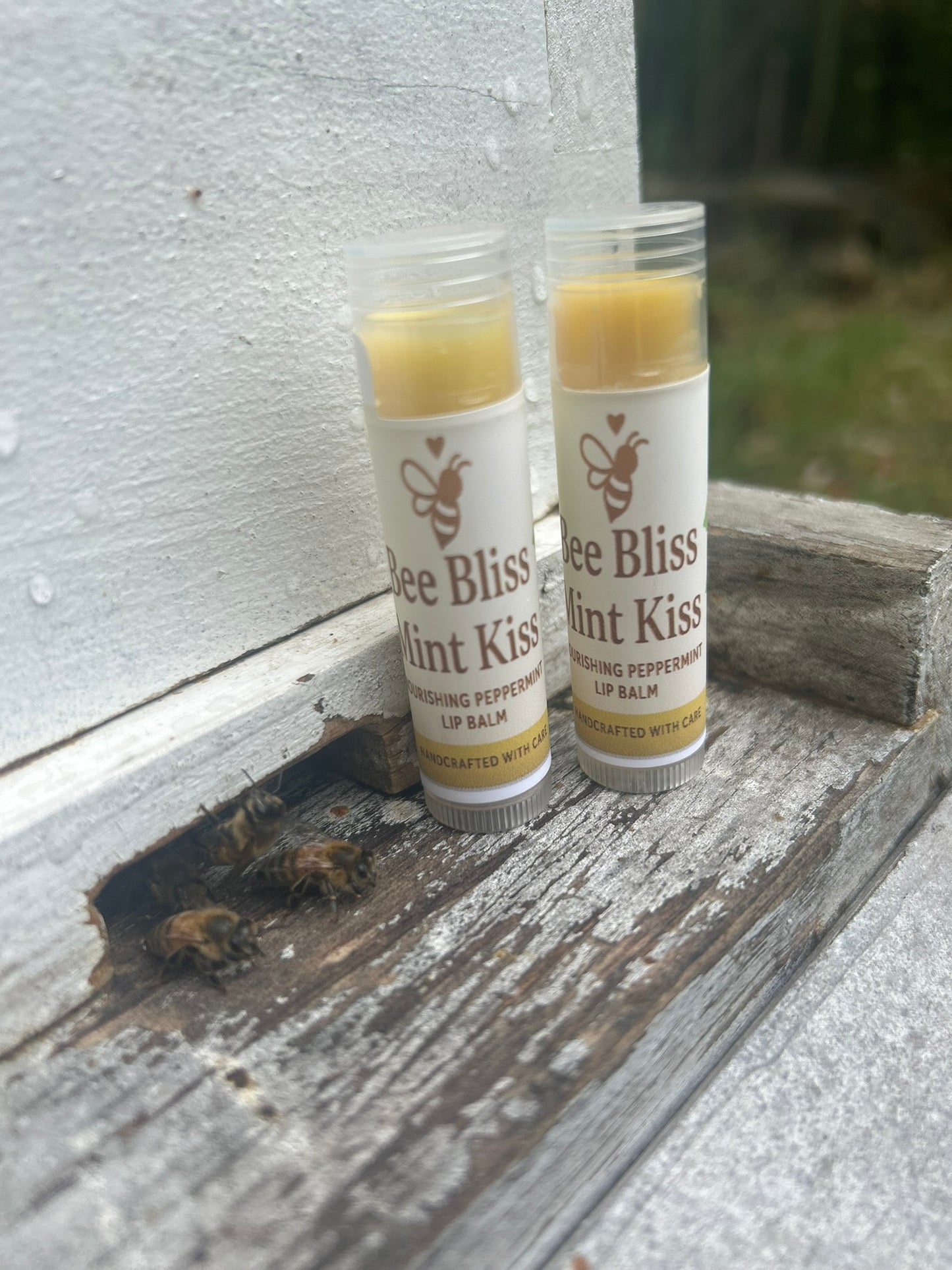 Mint Kiss Lip Elixir - Bee Bliss Bath and Body