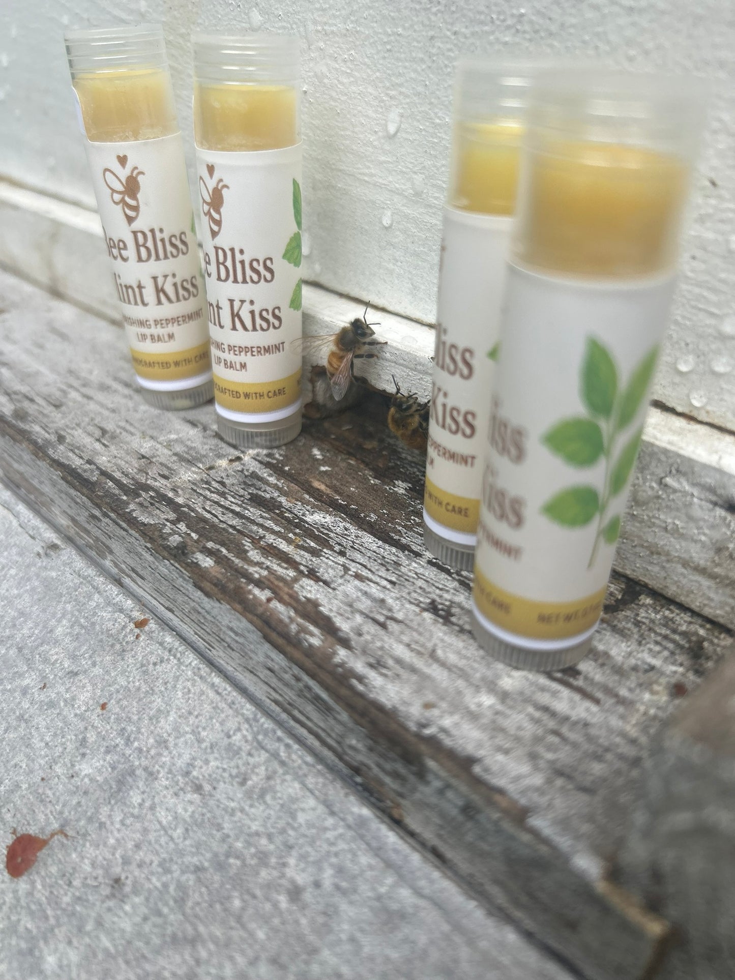 Mint Kiss Lip Elixir - Bee Bliss Bath and Body