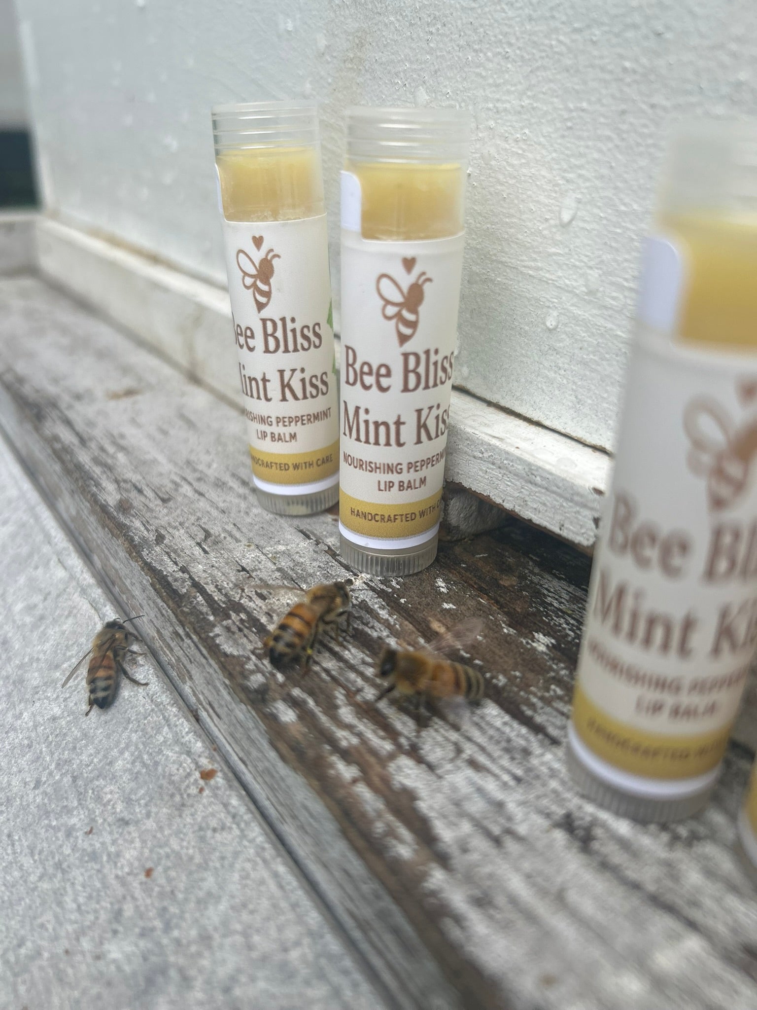 Mint Kiss Lip Elixir - Bee Bliss Bath and Body