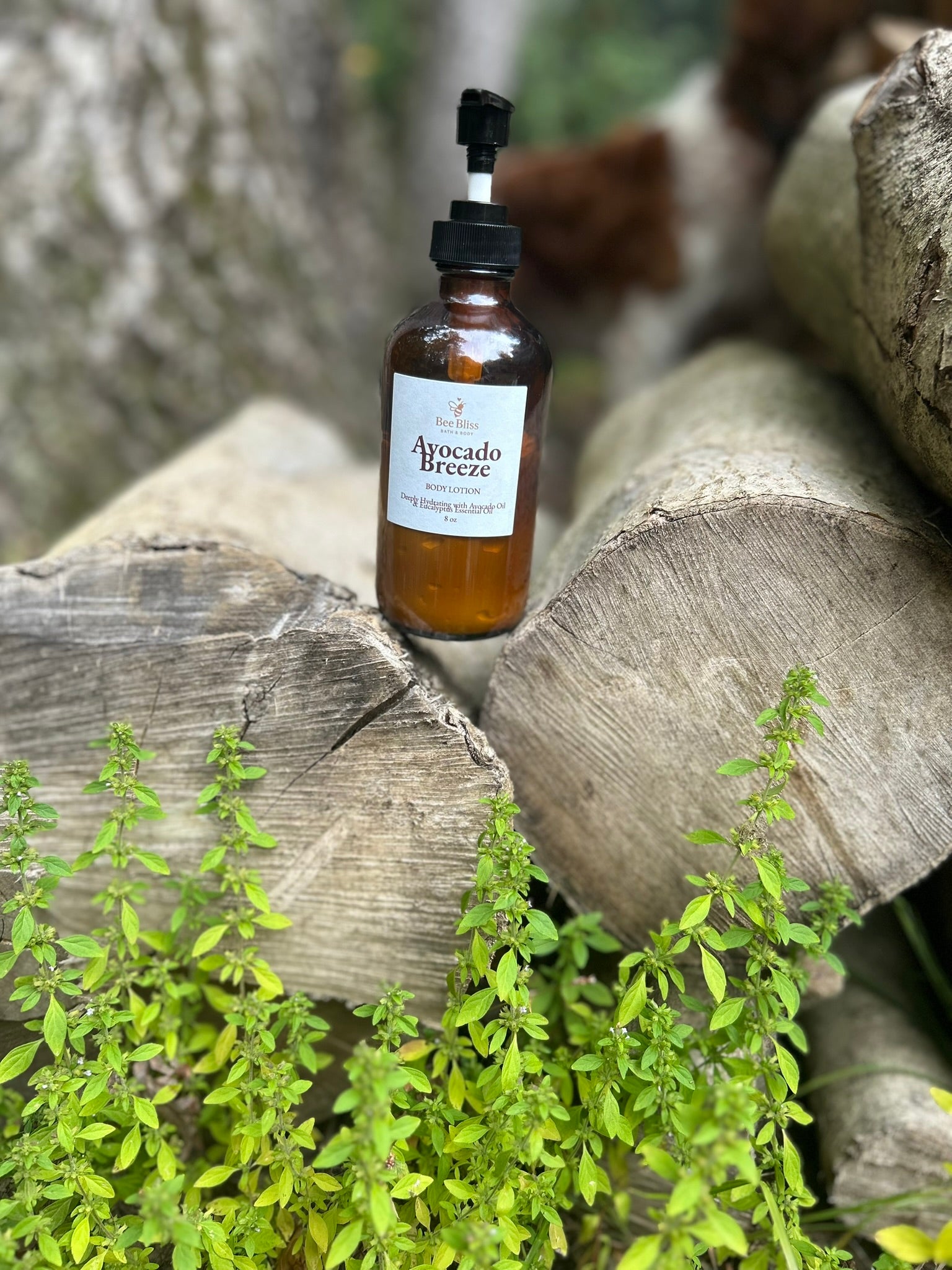Avocado Breeze Body Lotion - Bee Bliss Bath and Body
