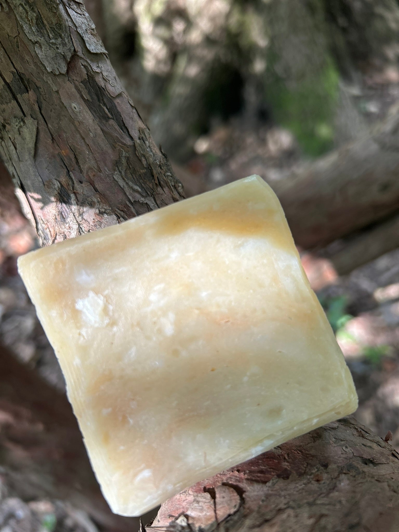 Bee Bliss Cedar Calm French Milled Artisan Soap - Bee Bliss Bath and Body