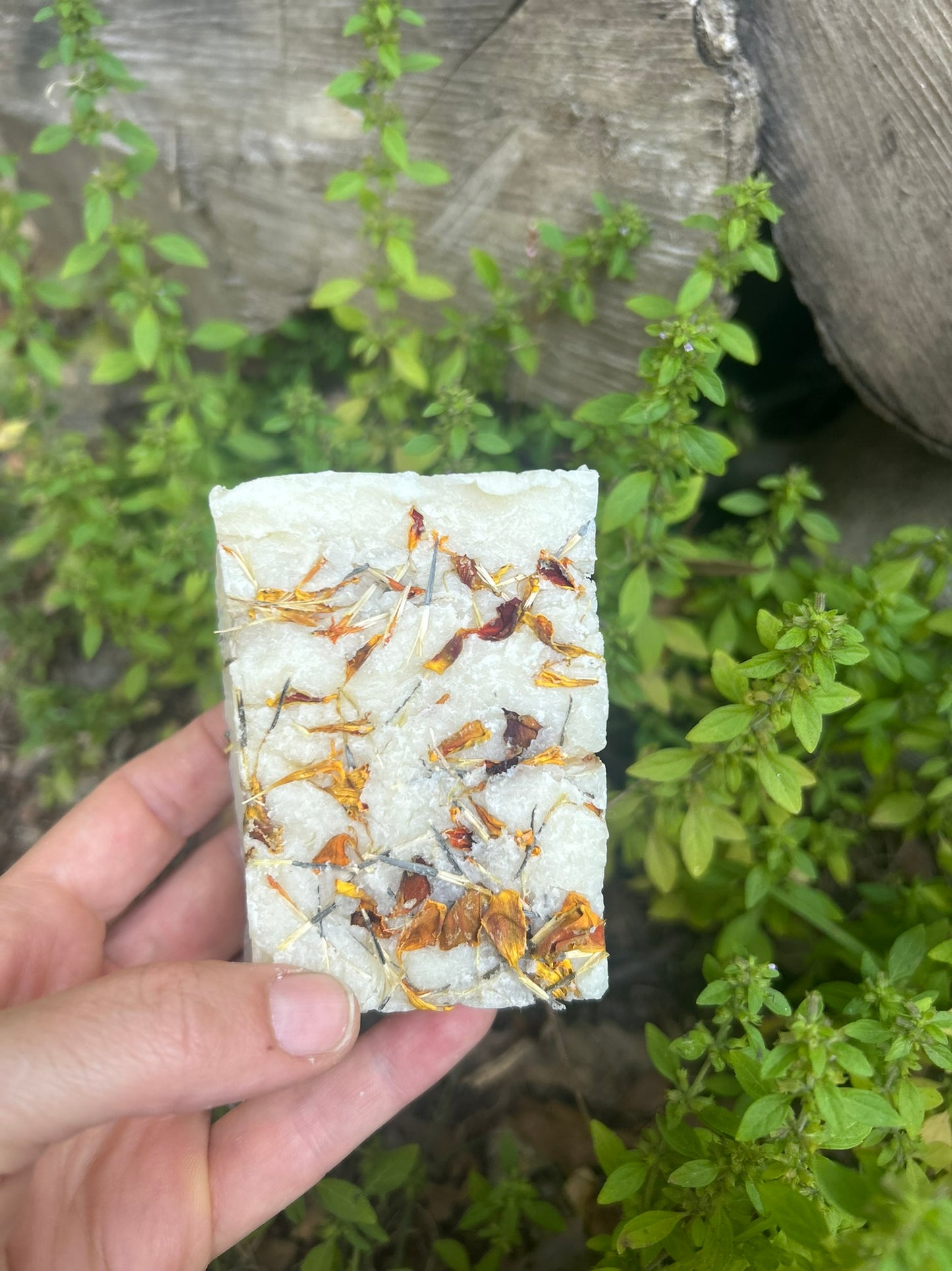 Calendula Herbal Harmony Artisan Soap - Bee Bliss Bath and Body