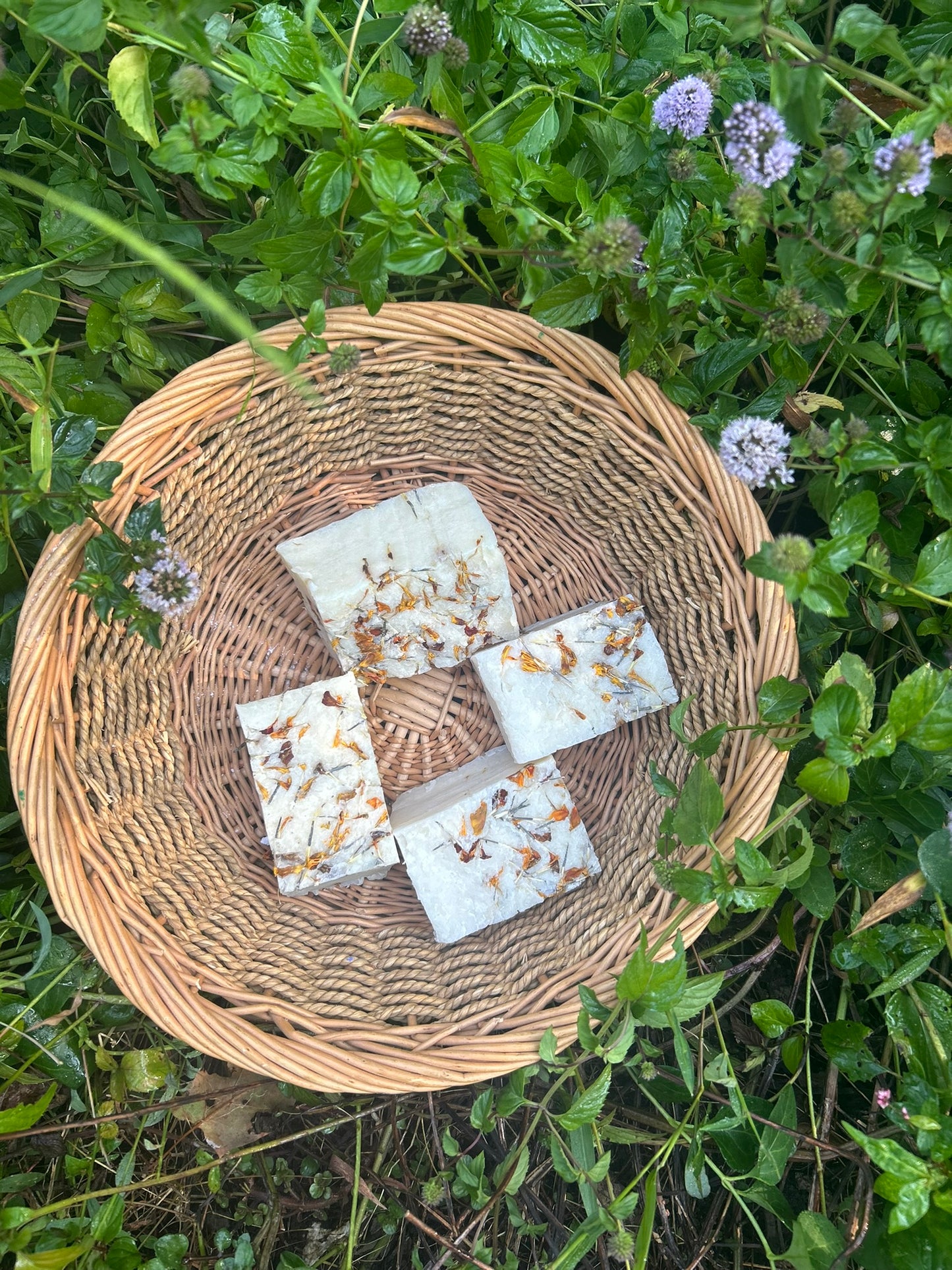 Calendula Herbal Harmony Artisan Soap - Bee Bliss Bath and Body