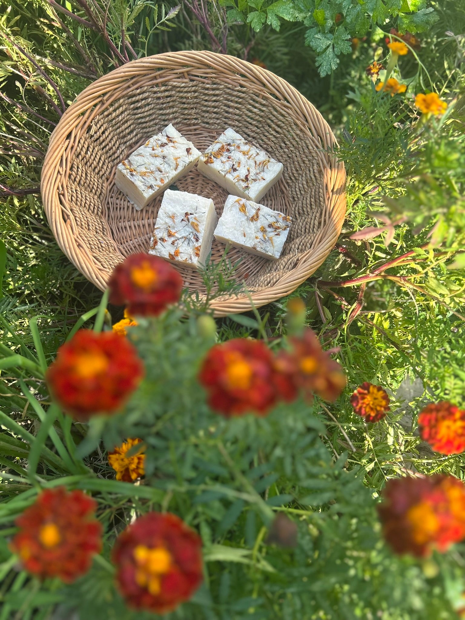 Calendula Herbal Harmony Artisan Soap - Bee Bliss Bath and Body
