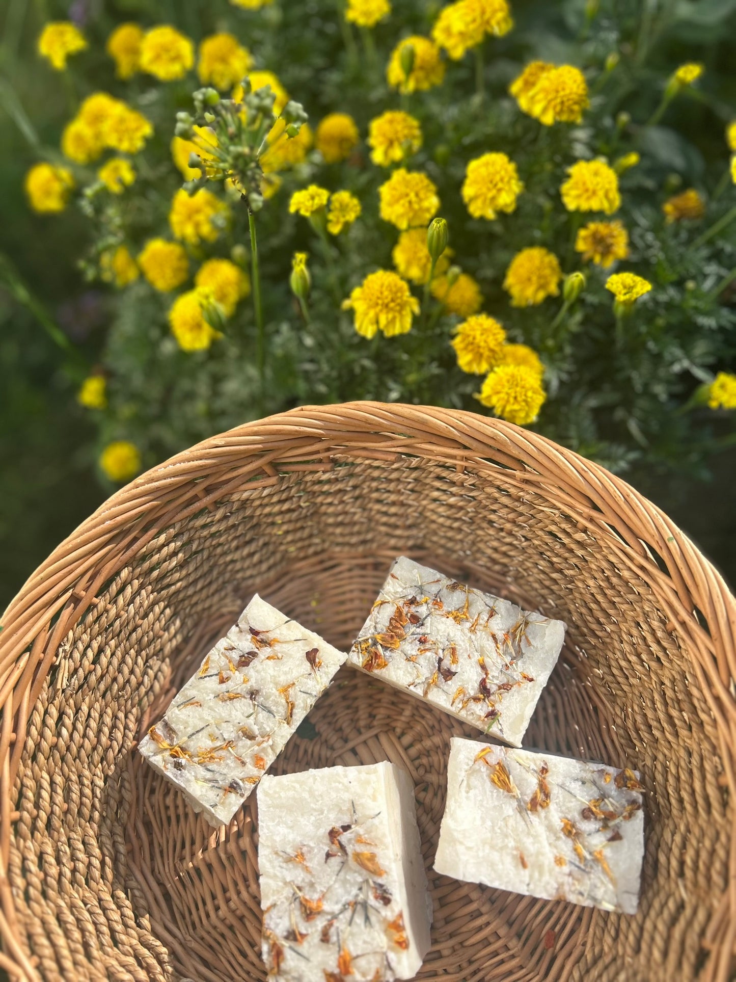 Calendula Herbal Harmony Artisan Soap - Bee Bliss Bath and Body