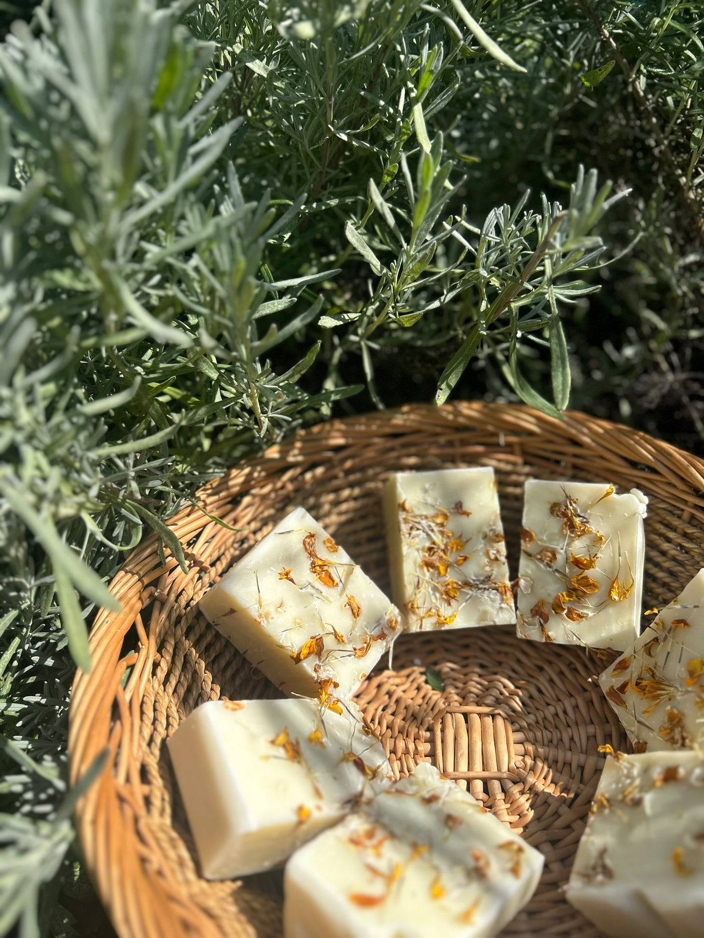 Calendula Garden Calm Artisan Soap - Bee Bliss Bath and Body