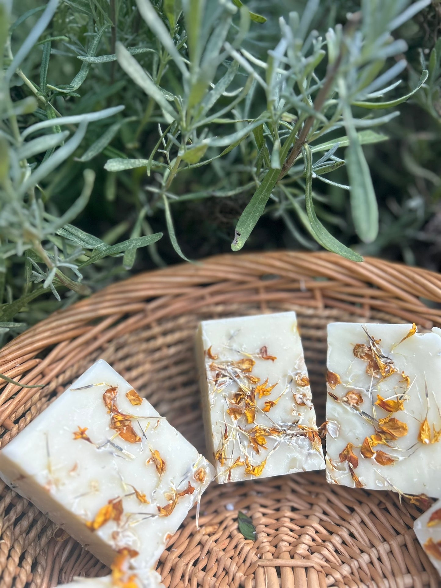 Calendula Garden Calm Artisan Soap - Bee Bliss Bath and Body