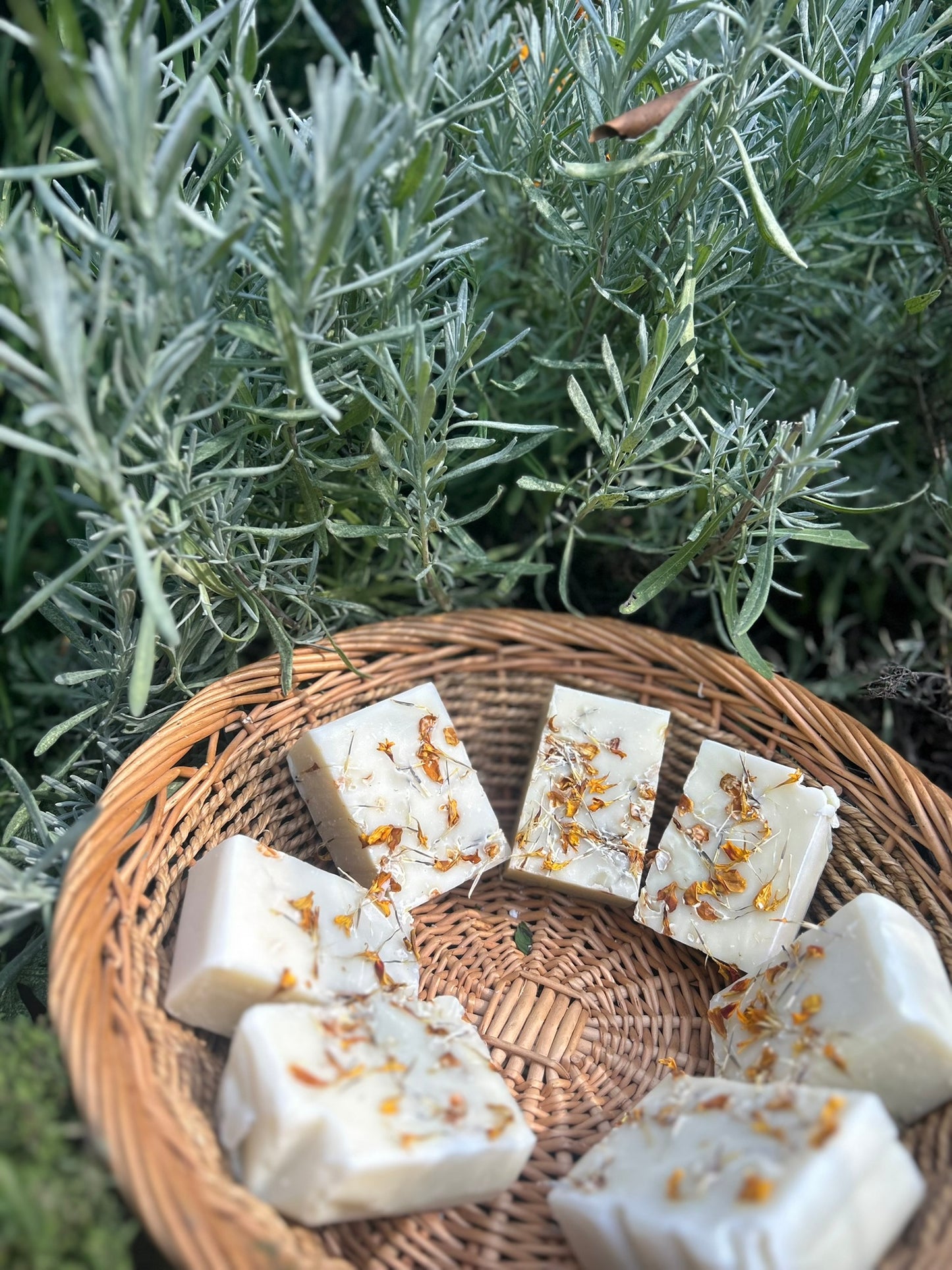 Calendula Garden Calm Artisan Soap - Bee Bliss Bath and Body