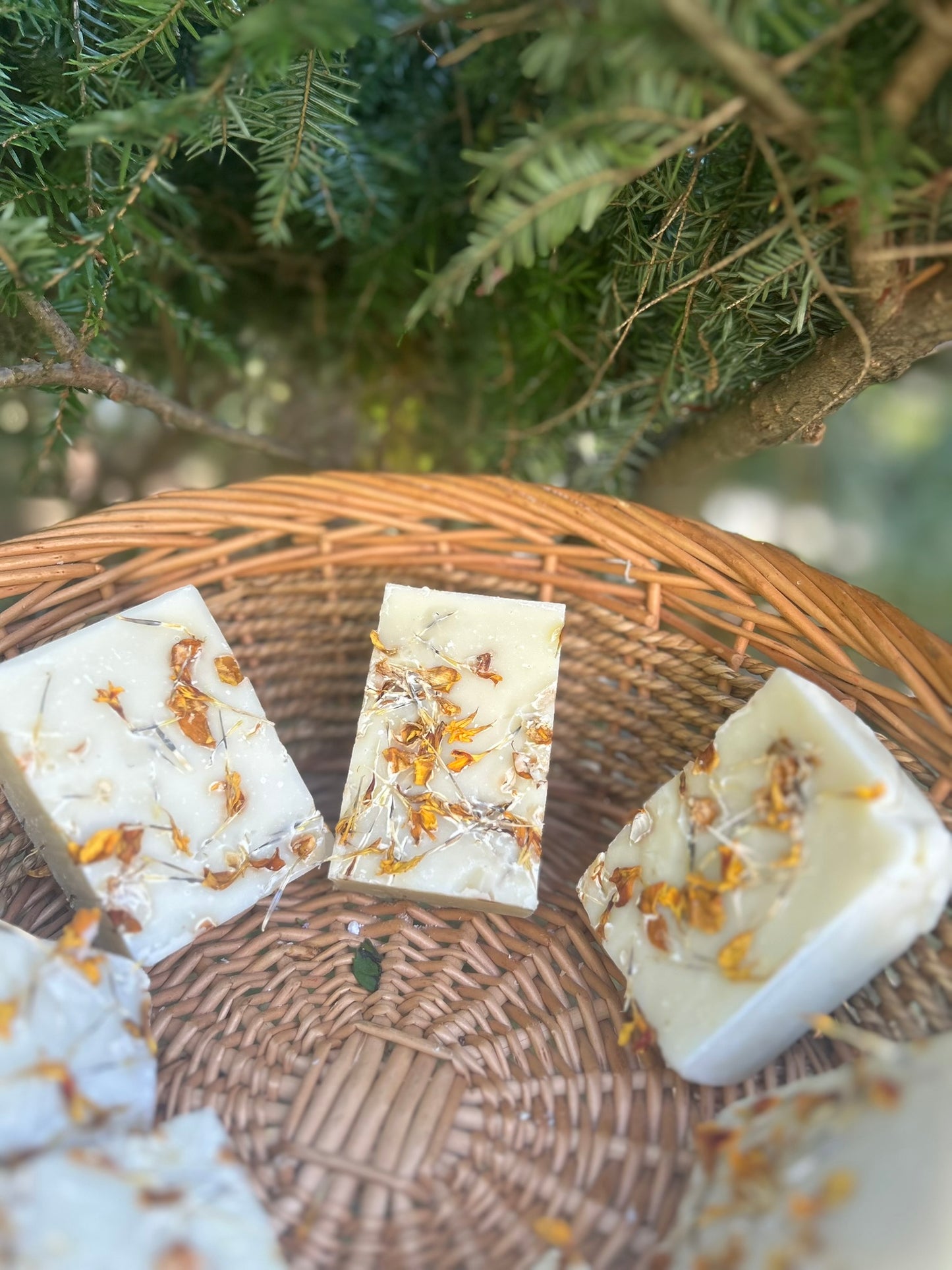 Calendula Garden Calm Artisan Soap - Bee Bliss Bath and Body
