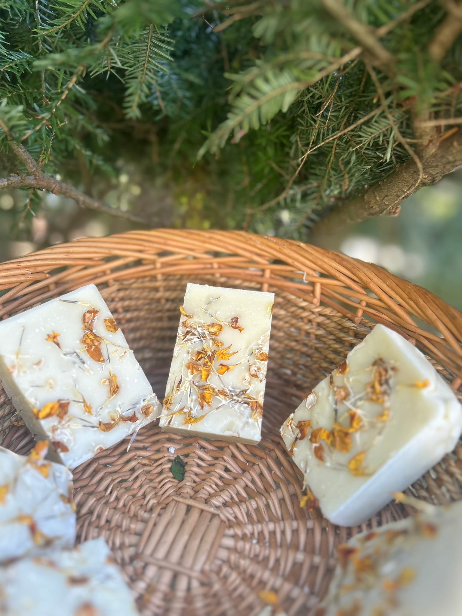 Calendula Garden Calm Artisan Soap - Bee Bliss Bath and Body